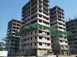  tulips Construction Status June 20