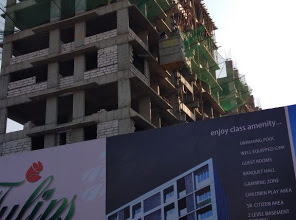  tulips Construction Status June-20