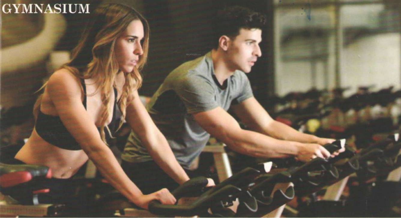  hibiscus heights Gymnasium