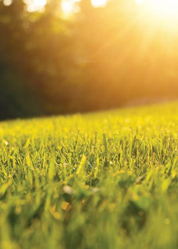  delmar-villa Landscaped Gardens