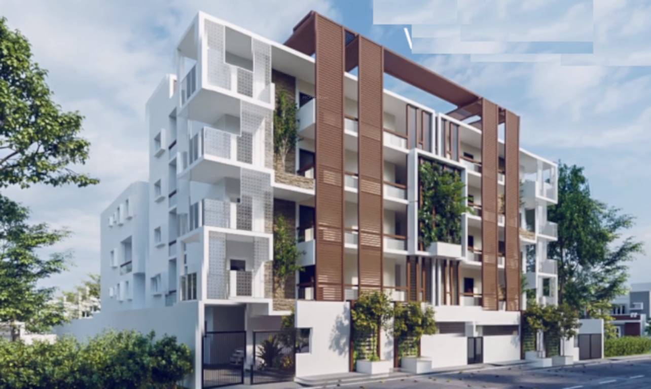  aureus identity Elevation