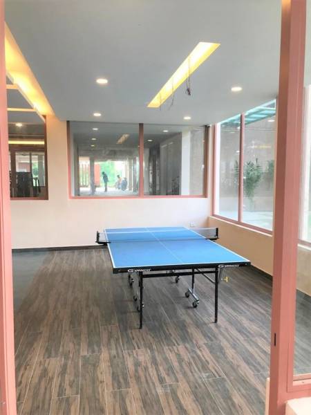  gate-phase-2 Table Tennis