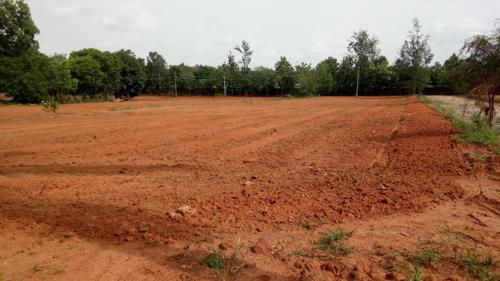  rain-forest Images for Elevation of Jain Rain Forest