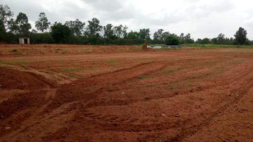  rain-forest Images for Main Other of Jain Rain Forest