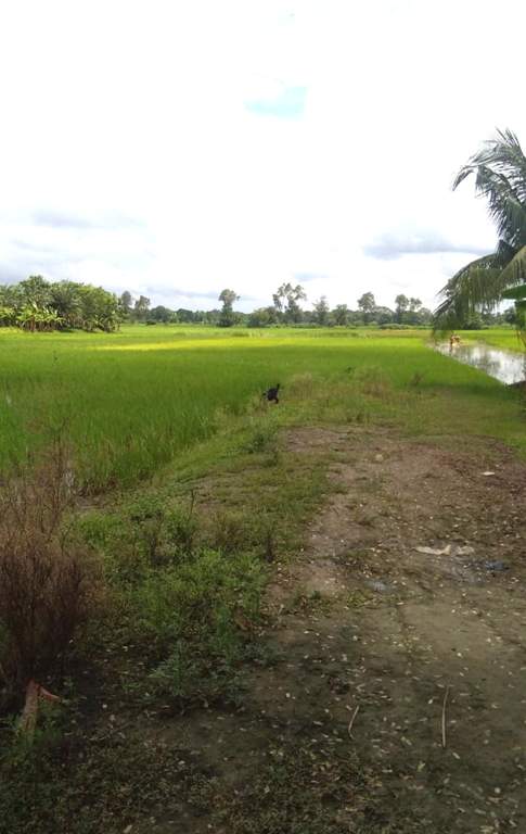 Images for Elevation of Bengal Hotar Housing And MSME Hub