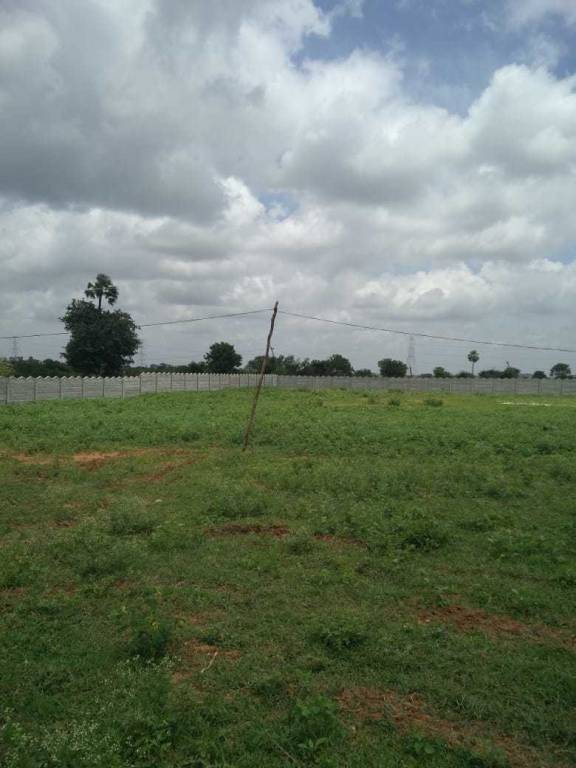 Images for Main Other of Asrithas 14th Avenue