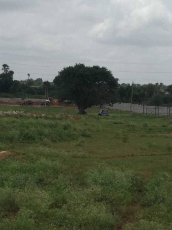 Images for Main Other of Asrithas 14th Avenue