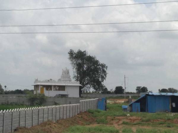 Images for Main Other of Asrithas 14th Avenue