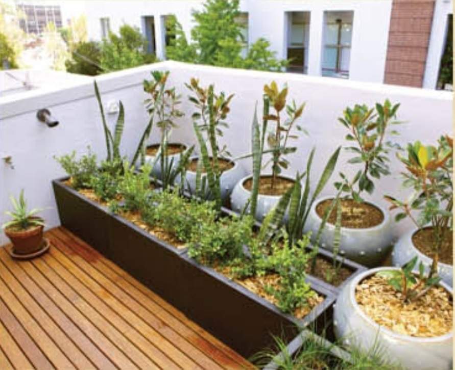  panchmukhi villa Terrace Garden