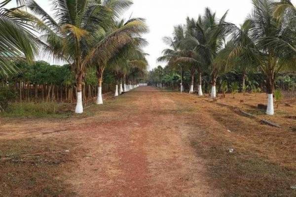  ekaant-forest-homes Elevation