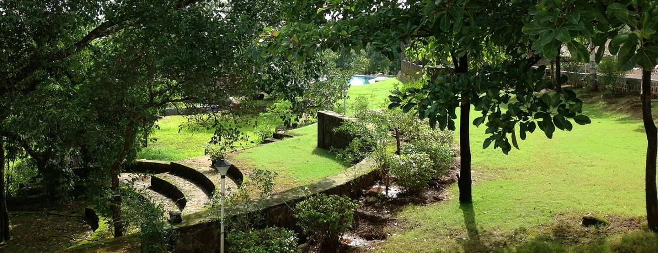  monta rosa alba Landscaped Gardens