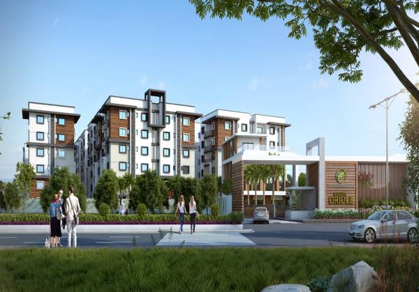 Images for Elevation of Fortune Green Golden Oriole