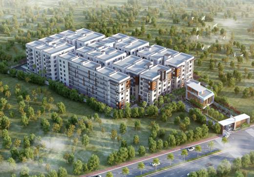 Images for Elevation of Fortune Green Golden Oriole