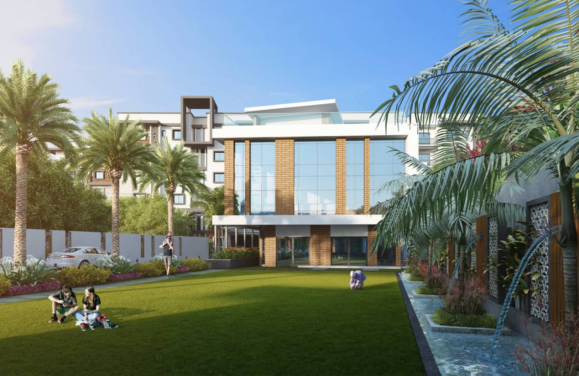 Fortune Green Golden Oriole