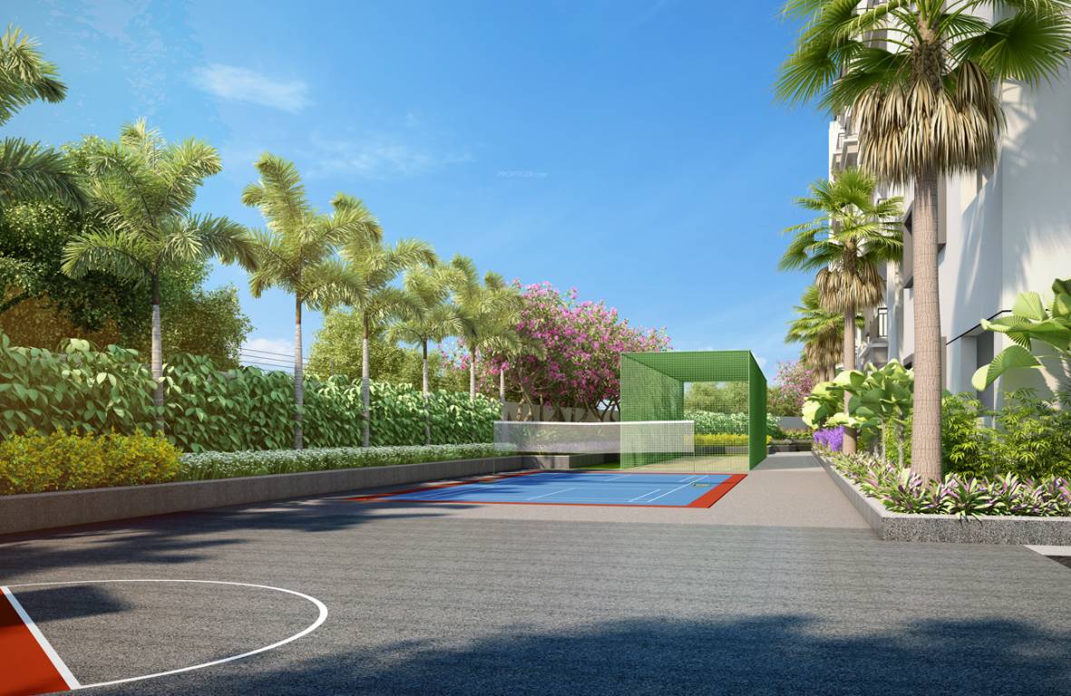 Fortune Green Golden Oriole