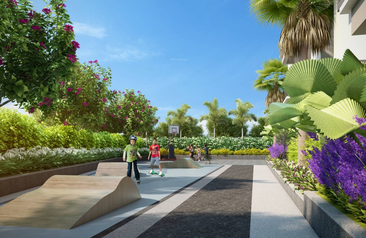 Fortune Green Golden Oriole