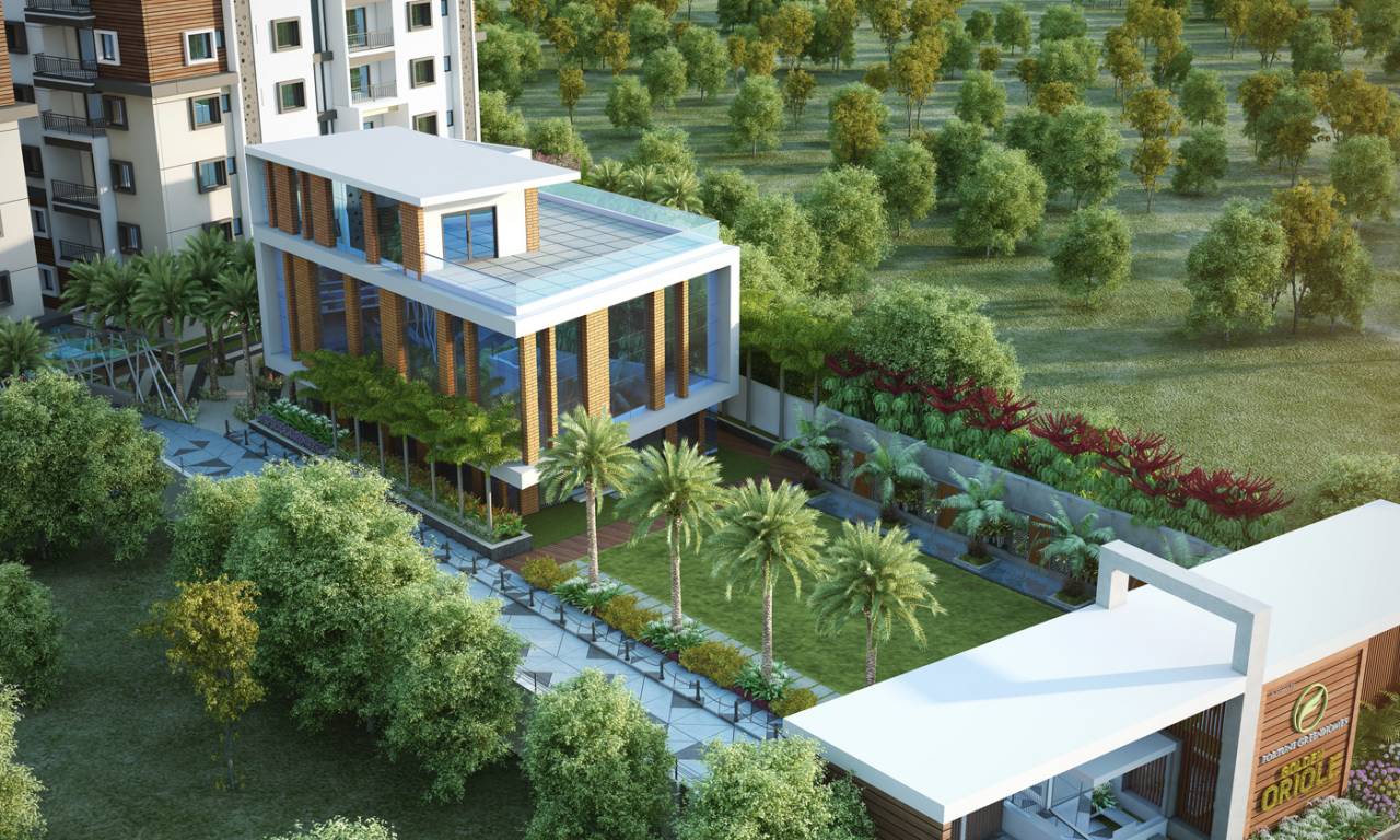 Fortune Green Golden Oriole