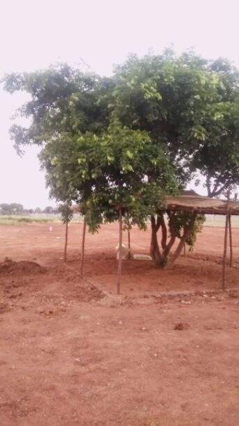  valencia town Plot