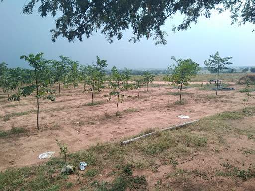  valencia town Plot