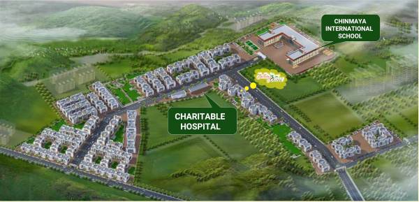  jollity-olives Master Plan