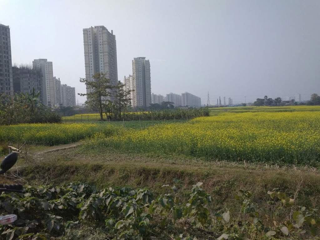 Images for Main Other of Biswajit Land
