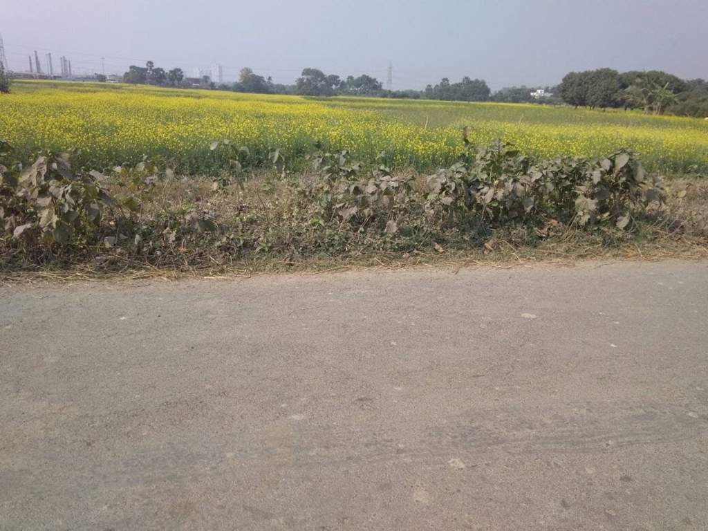 Images for Main Other of Biswajit Land