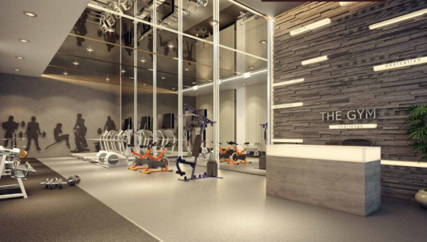  trinity-vertical-phase-i Gymnasium