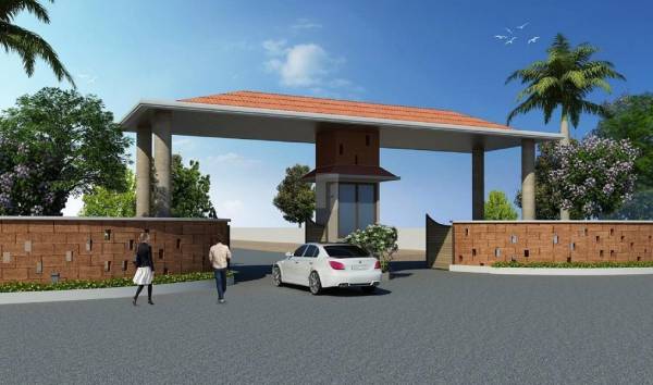  coastal-breeze Elevation