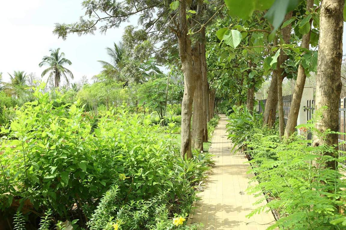  greens Images for amenities