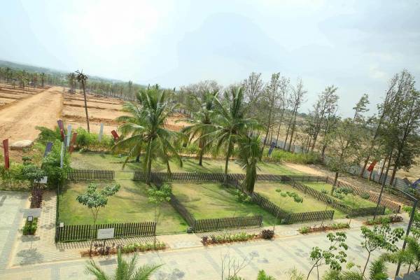  greens Images for mainOther