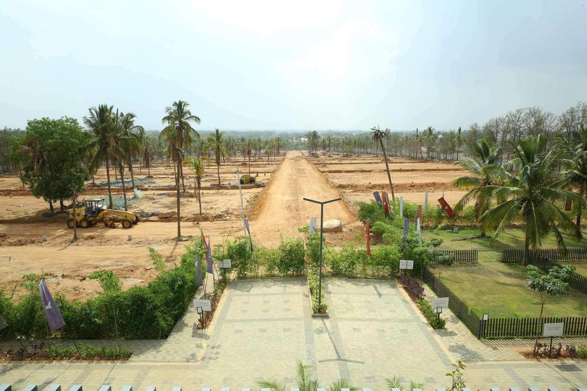  greens Images for mainOther