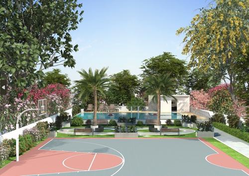 Basketball Court the-landmark Basketball Court