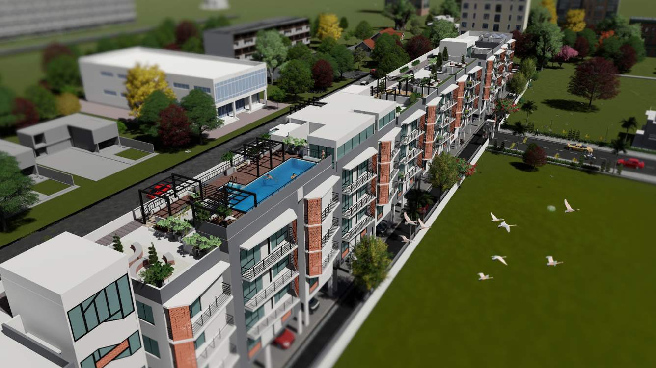  coco nest Images for Project