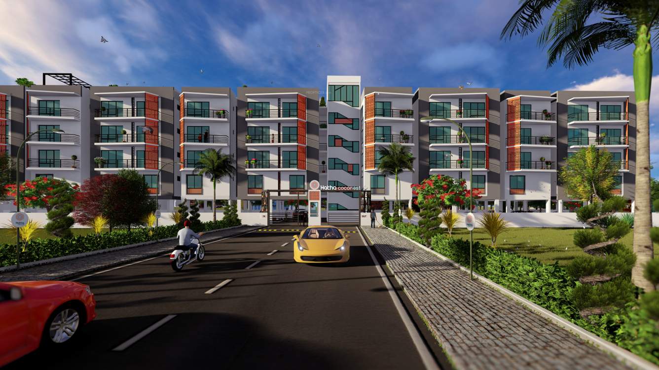  coco nest Images for Project