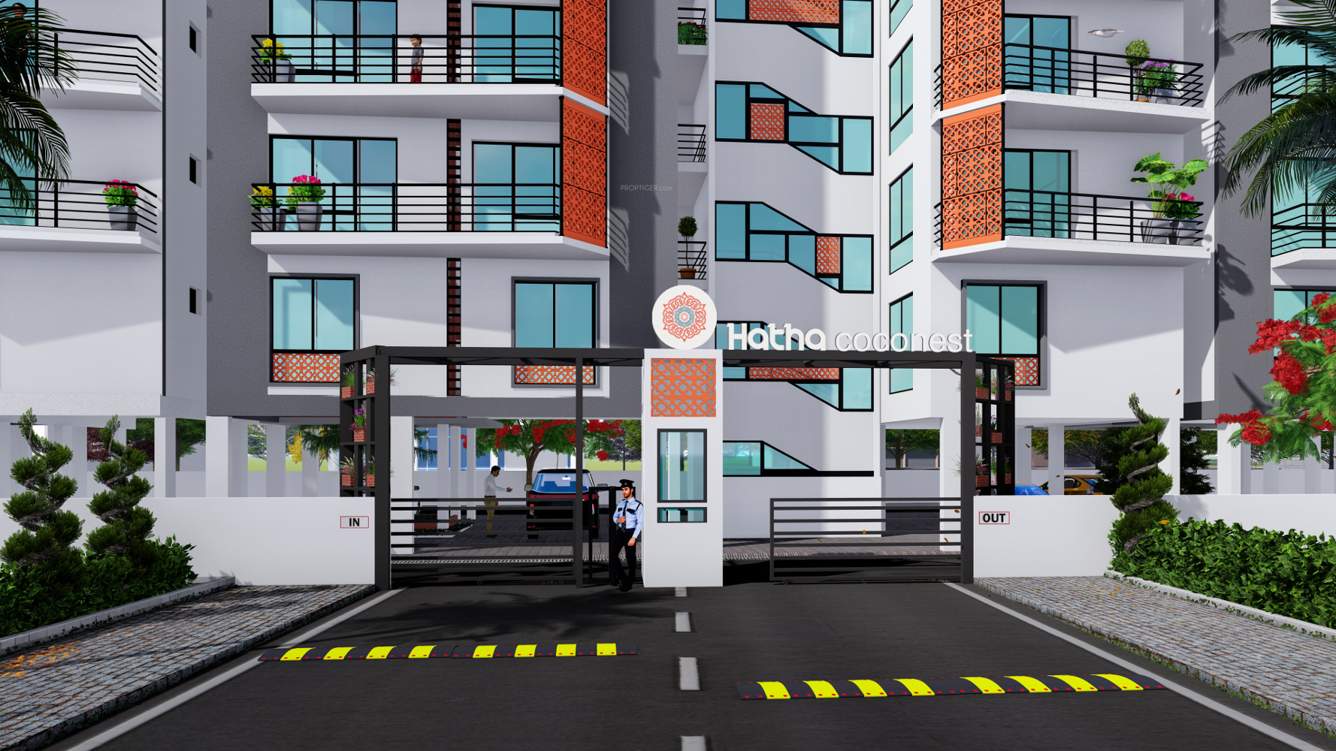  coco nest Images for Project