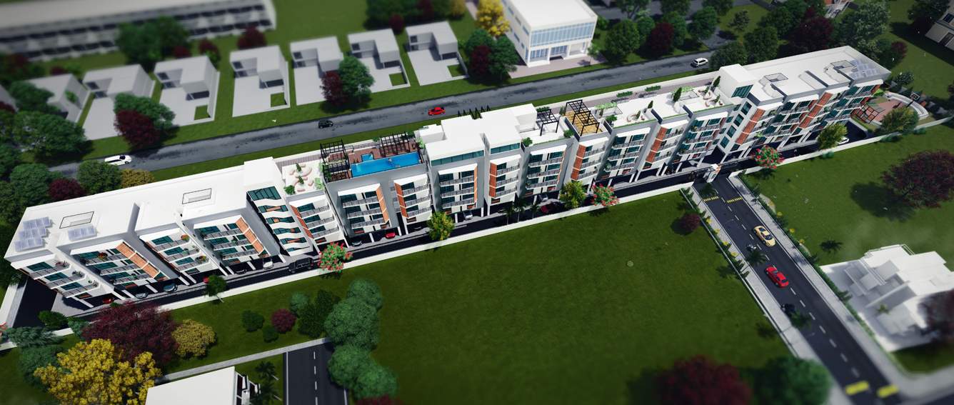  coco nest Images for Project