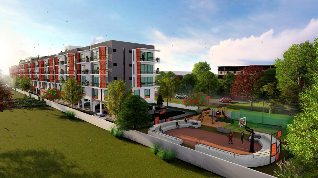  coco nest Images for Project