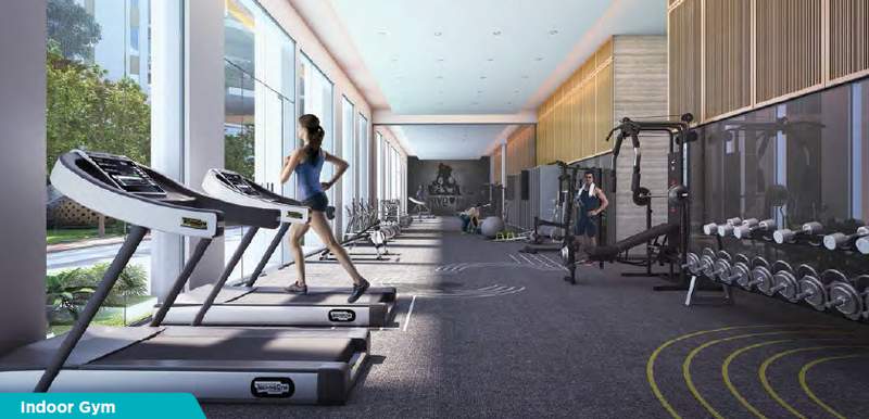  il and fs navam Gymnasium