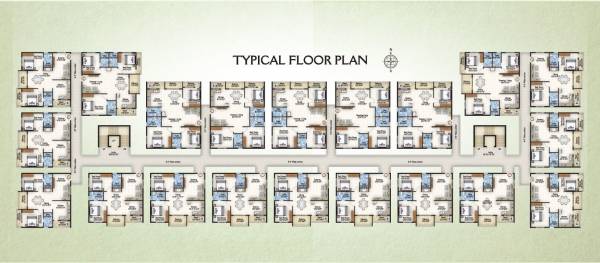 clusterPlan of Camellia Pride