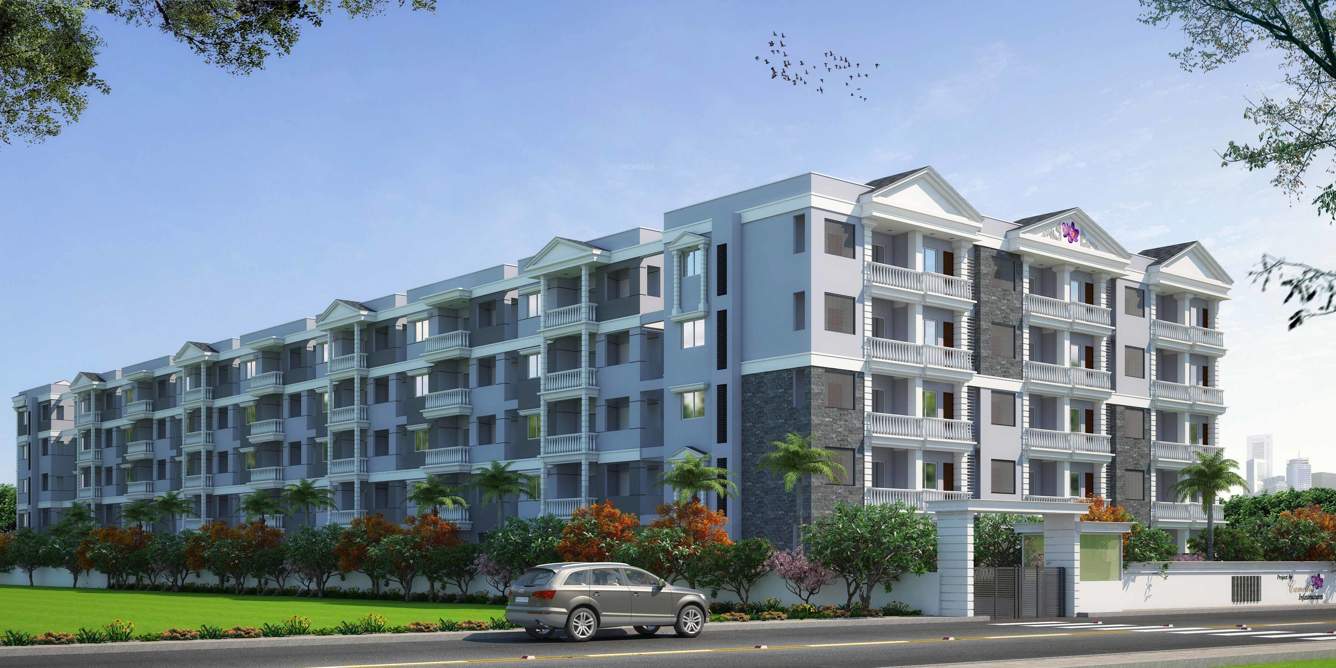 Images for Elevation of Camellia Pride