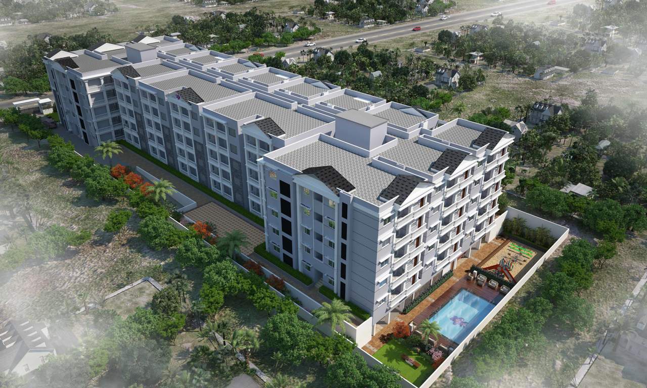 Images for Elevation of Camellia Pride