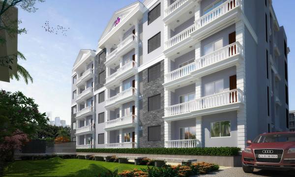 Images for Elevation of Camellia Pride