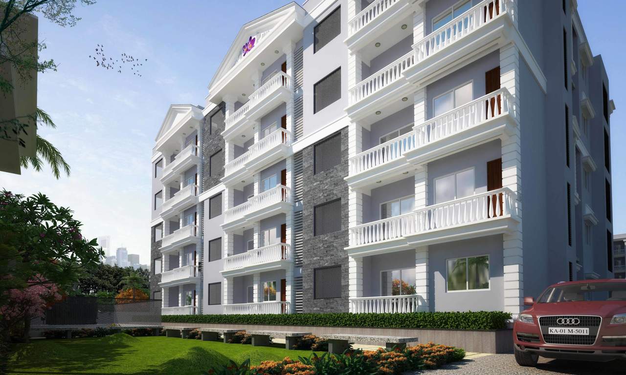 Images for Elevation of Camellia Pride