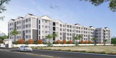  pride Images for Elevation of Camellia Pride