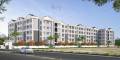 Camellia Infrastructures Pride