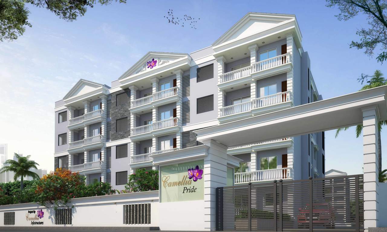  pride Images for Elevation of Camellia Pride