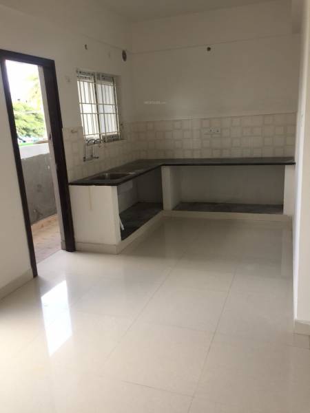 mainOther of Camellia Pride