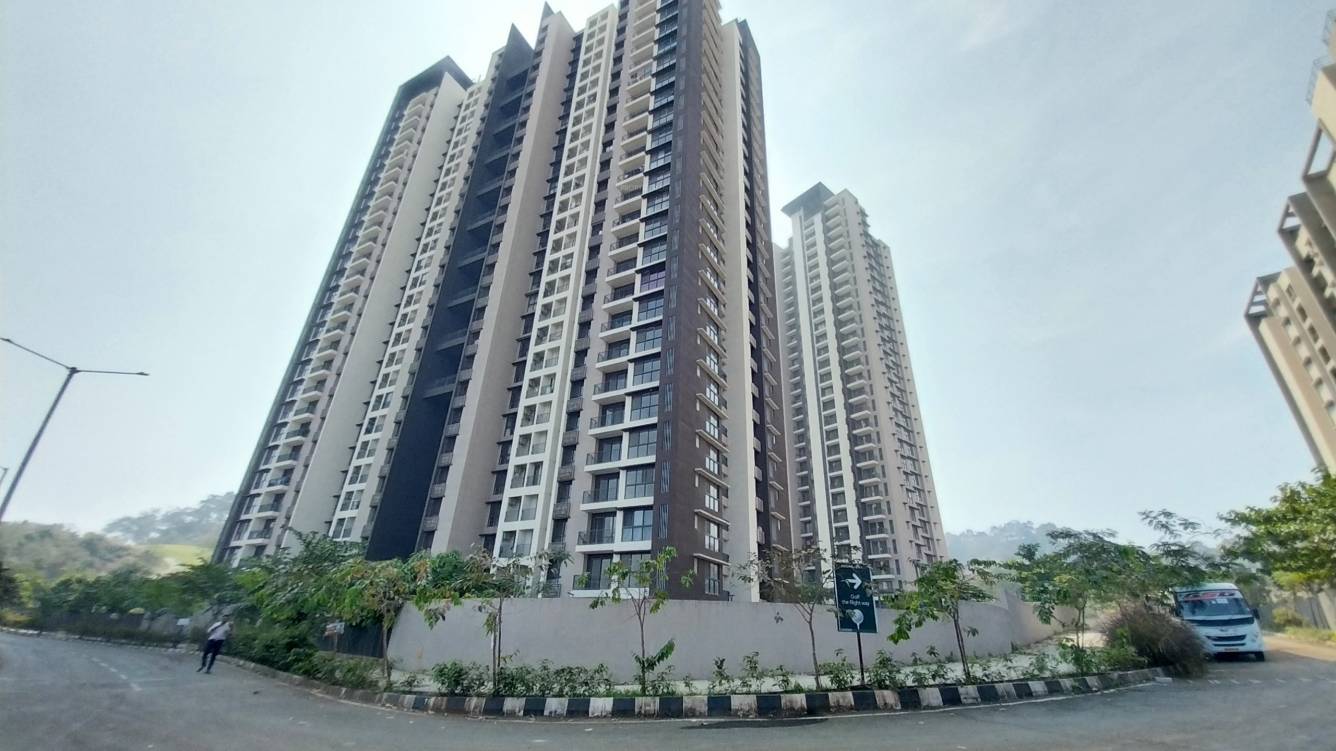  golf meadows Elevation