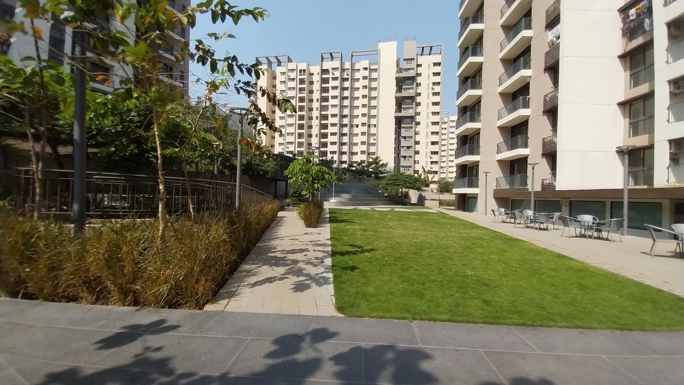  golf meadows Landscape Garden and Tree Planting