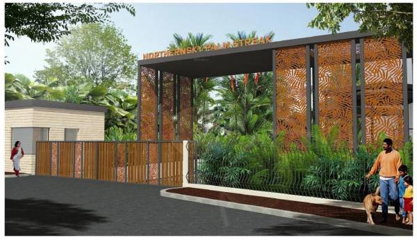 Elevation palmstreak Elevation